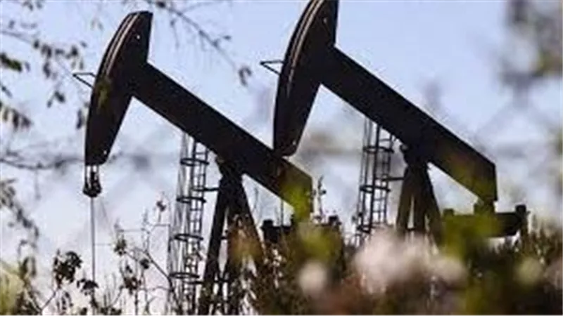 كيف أنهت العقوبات التحول الأخضر والسوق العالمية؟