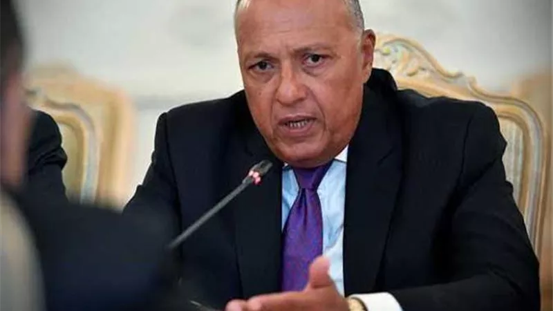 سامح شكري: مصر تبنى منصة لتصدير الغاز إلى أوروبا