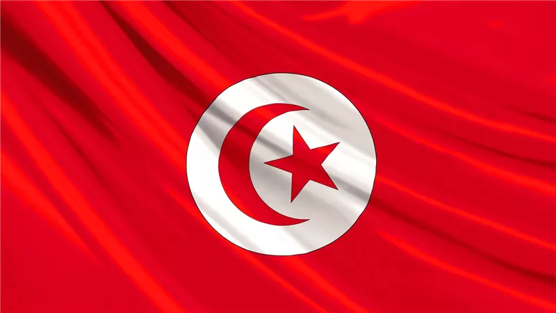 تونس تشتري طائرات عسكرية من أمريكا.. ما التفاصيل؟