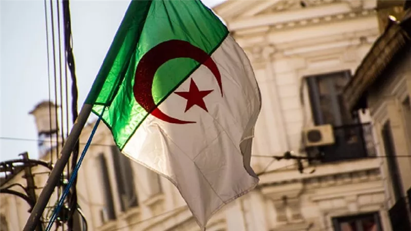 الجزائر.. إعداد قانون خاص لفئة من المحكومين