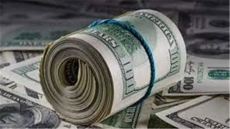 تقرير يوضح سعر الدولار في مصر لدى البنك المركزي 