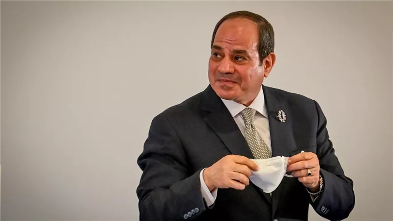 برلماني: زيارات الرئيس السيسي تؤكد حرصه على إقامة علاقات دولية متوازنة