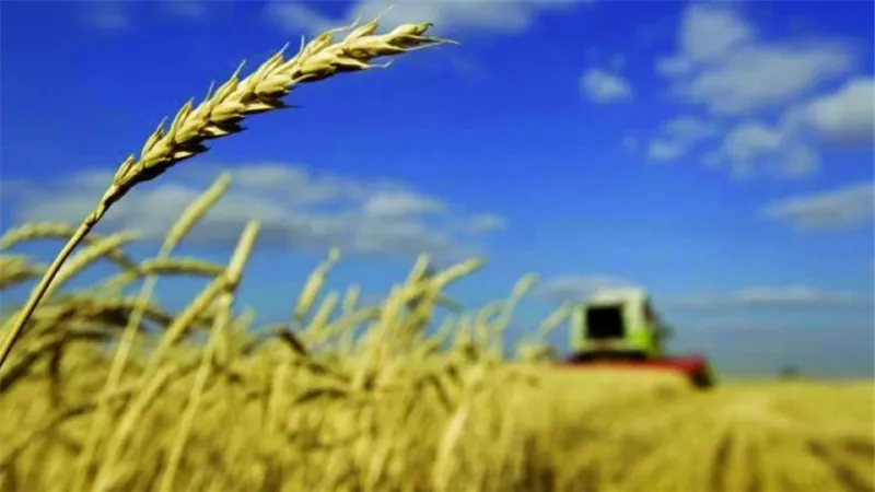 بعد قليل.. التوقيع على اتفاق تصدير الحبوب بين أوكرانيا وروسيا