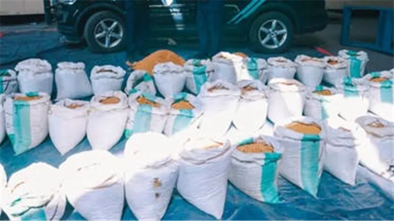 السعودية.. إحباط تهريب نحو 15 مليون حبة كبتاغون في ميناء جدة