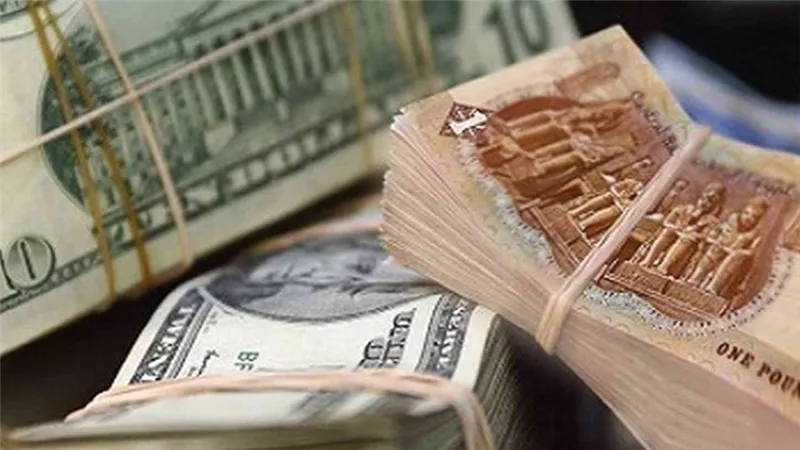  سعر الدولار اليوم في مصر لدى البنك المركزي