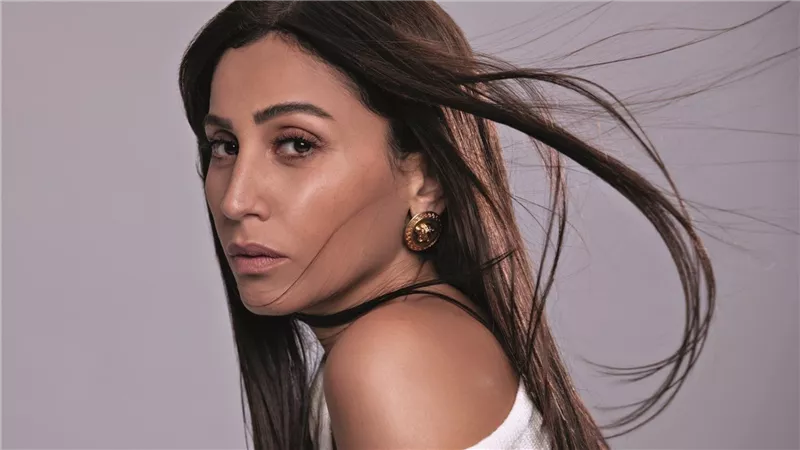  تفاصيل جديدة بشأن مسلسل النجمة المصرية دينا الشربيني