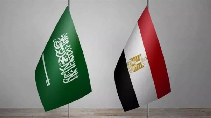 باحث مصري: صندوق السعودية السيادي ينطلق بالقاهرة والمملكة للصدارة عربيا وعالميا