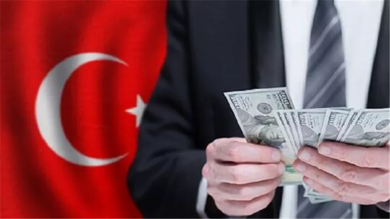بلومبيرغ: احتياطيات تركيا الأجنبية تسجل أعلى معدل سنوي