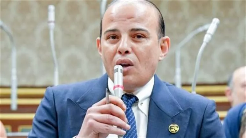 عمرو القطامي: إعادة دمج المفرج عنهم يعطي أجواء مبشرة بنجاح الحوار الوطني المصري