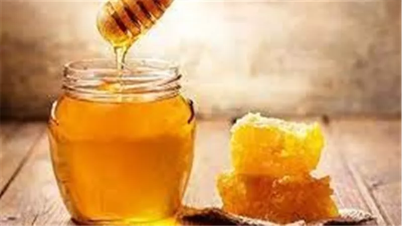 للعسل خصائص عديدة مفيدة للجسم.. خبيرة توضح