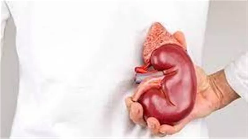 ما هي أكثر أعراض أمراض الكلى خطورة؟