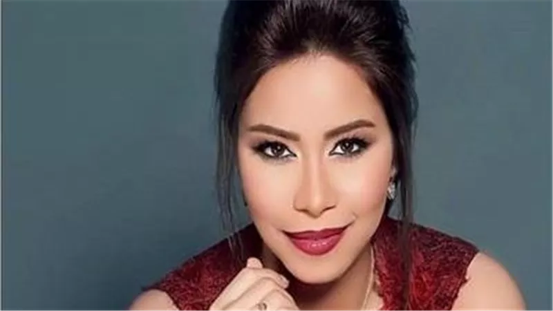 محامي مصري يعلن عن تقديم بلاغ ضد الفنانة شيرين عبد الوهاب وطليقها حسام حبيب