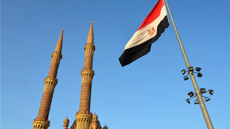 برلماني مصري: دعوات 11 نوفمبر فاشلة.. ولن تنفع ضد إرادة الدولة