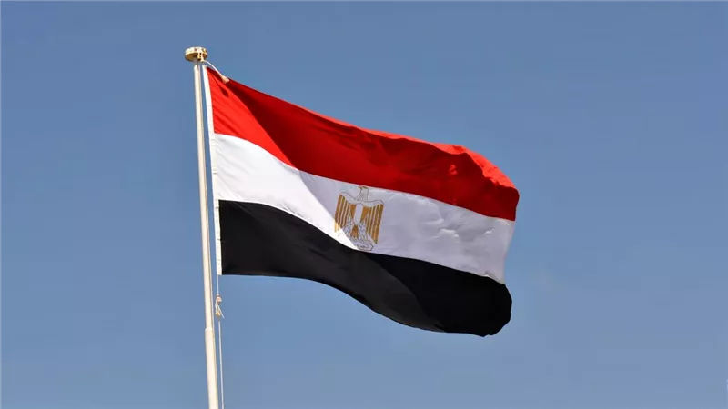 مصر.. اقترح إنشاء مؤسسة خاصة بالترويج الاستثماري بالخارج