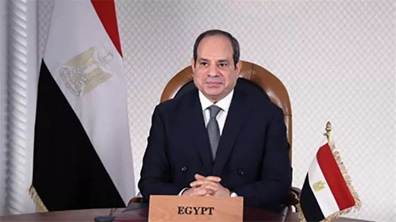 برلمانية ردًا على دعوات 11 نوفمبر: المصريون والسيسي يواصلون مسيرة البناء