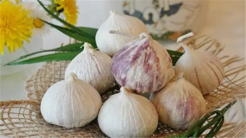 هل الثوم مفيد للذبحة الصدرية؟.. صديق القلب الأول لهذه الأسباب