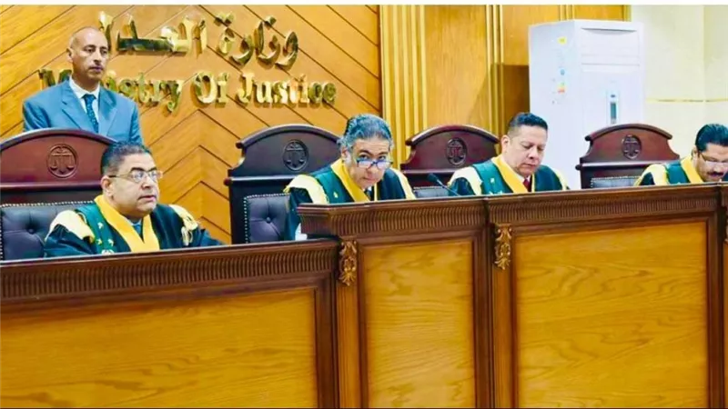 تأجيل النظر في قضية موظف حرض ضد الجيش والشرطة حتى أول يناير المقبل