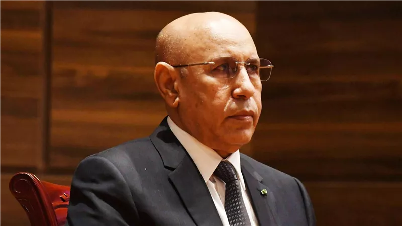 موريتانيا.. الغزواني يلتقي نظيريه النيجري والتشادي