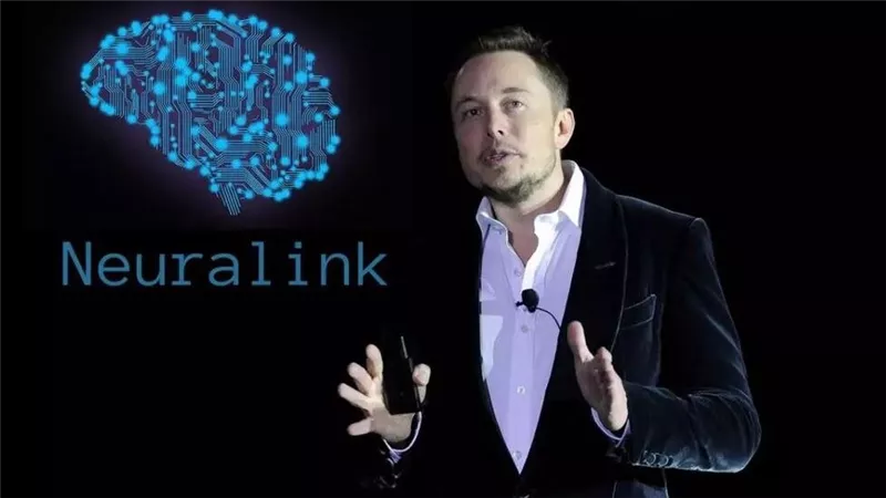 شركة إيلون ماسك الطبية تواجه تحقيقا بسبب انتهاكات لحقوق الحيوان