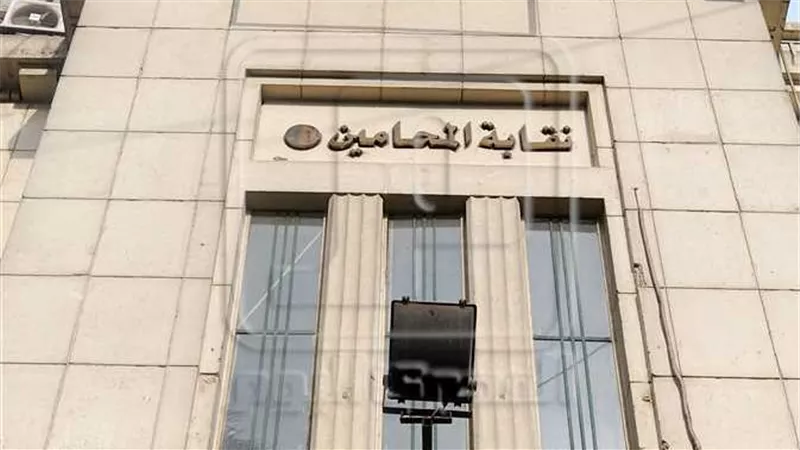 القصة الكاملة حول مشكلة الفاتورة الإلكترونية.. ونقابة المحامين المصرية تُعلق (بيان رسمي)