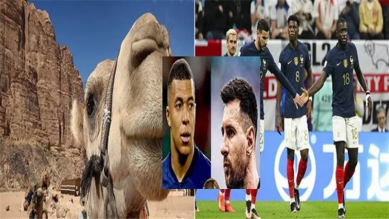 الأرجنتين ضد فرنسا.. 