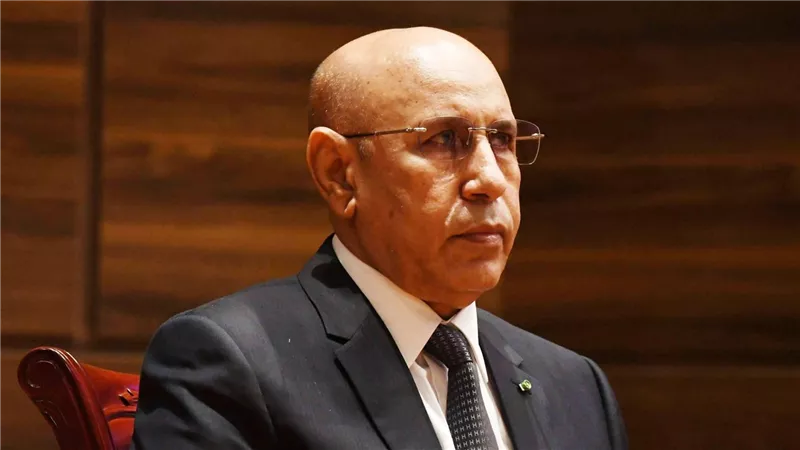 موريتانيا.. الغزواني يلتقي المدير العام لوكالة أمن الملاحة الجوية بإفريقيا