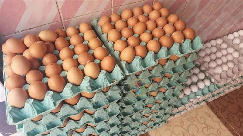 ماذا يحدث للجسم عند تناول البيض يوميًا؟