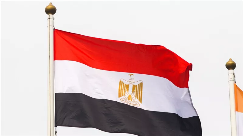 مصر.. مطالب للحكومة بمزيد من الإجراءات لتعزيز مشاركة القطاع الخاص ودعم الصناعة الوطنية 