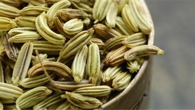 فوائد بذور الشمر.. أبرزها خفض ضغط الدم