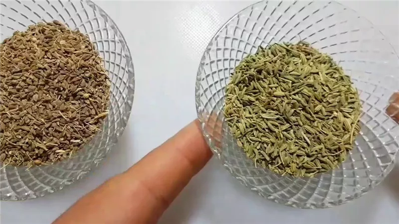 هل الشمر هو اليانسون؟.. تعرف بنفسك