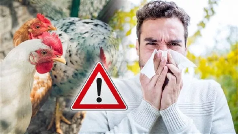  أستراليا ترصد سلالة شديدة العدوى من فيروس إنفلونزا الطيور