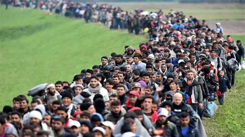 الجزائر.. إيقاف المئات من الأشخاص بين مهربين ومهاجرين 