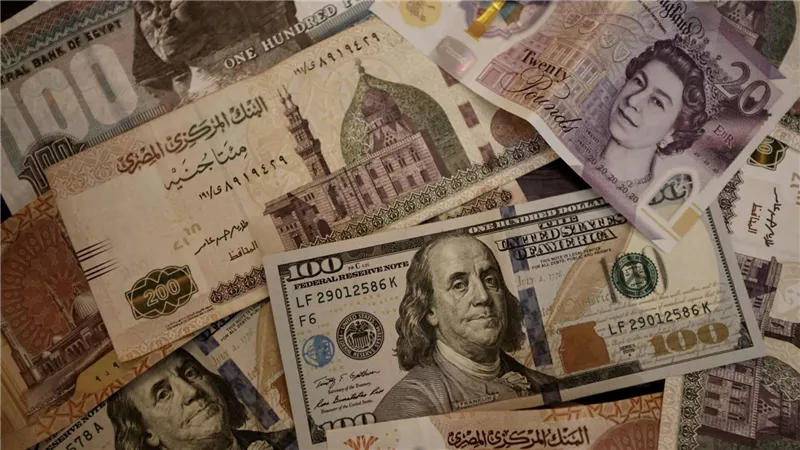 خبيرة اقتصادية: سوق المال المصري متنوع وفرصه الاستثمارية هائلة وواعدة