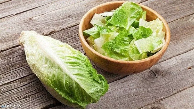 5 فوائد الخس للمرأة سحرية.. جربيها الآن 