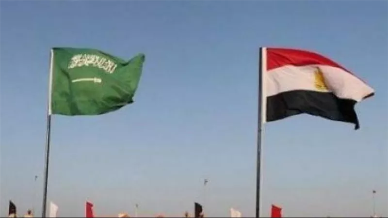 برلمانية: مصر والسعودية هما الركيزة الأساسية لتحقيق الاستقرار في المنطقة