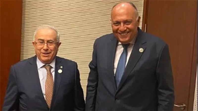 وزير الخارجية المصري يلتقي نظيره الجزائري في أديس أبابا