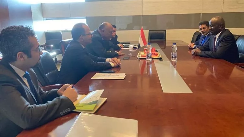 وزير الخارجية يلتقي مع وزير الشئون الخارجية والتعاون والموريتانيين في الخارج 