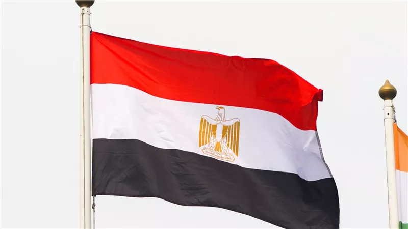 برلماني مصري: إقرار سداد مقابل الأراضى الصناعية بالتقسيط خطوة هامة للتيسير على المستثمر الصناعى