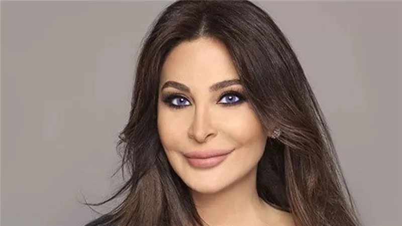  مقطع فيديو يثير ضجة كبرة عبر السوشيال ميديا يظهر اعتداء حارس إليسا الشخصي على أحد المعجبين